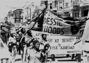  APSP-led demonstration to free Dessie Woods